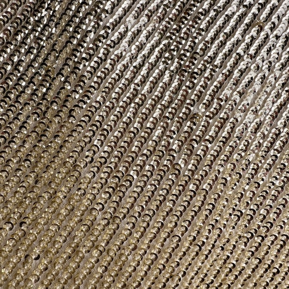 Banana Republic Alina Sequin Maxi Skirt Champagne Size M NWT - Picture 6 of 6